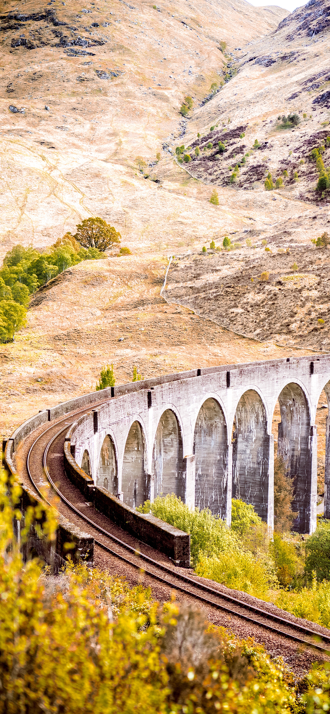 [2436×1125]铁路 桥梁 野外 铁轨 苹果手机壁纸图片