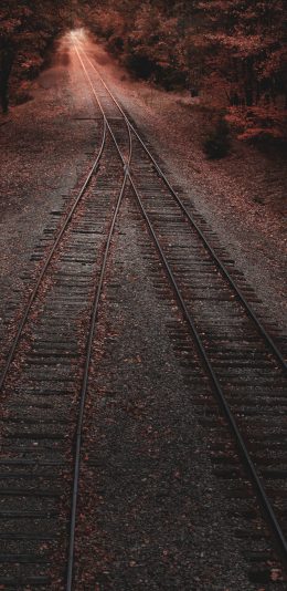 [2436x1125]铁路 铁轨 落叶 变道 苹果手机壁纸图片