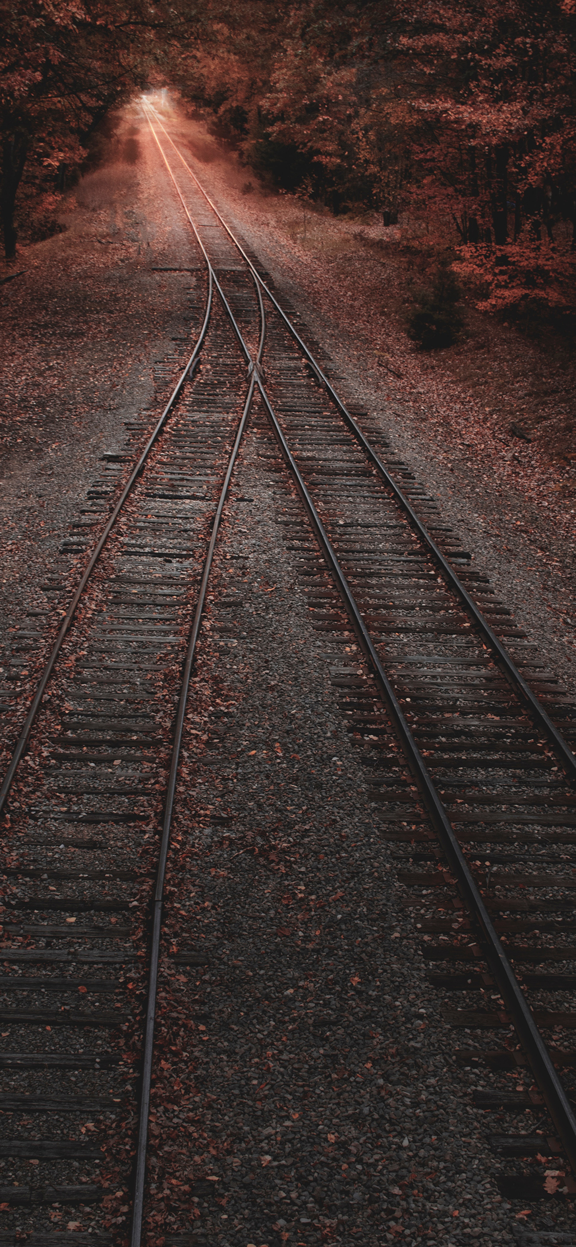 [2436×1125]铁路 铁轨 落叶 变道 苹果手机壁纸图片