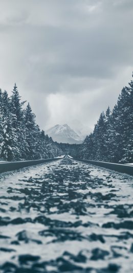 [2436x1125]铁轨 铁路 雪地 树木 交通 冬季 苹果手机壁纸图片