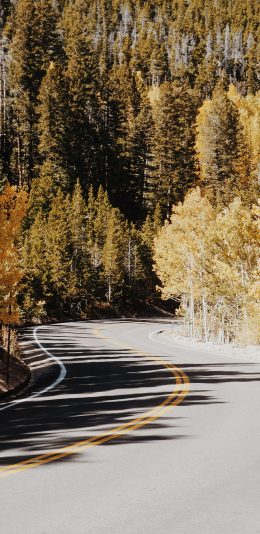 [2436x1125]错车道 树木 树林 弯道 苹果手机壁纸图片