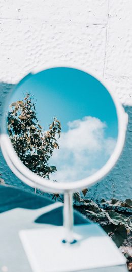 [2436x1125]镜子 天空 枝叶 蓝色 苹果手机壁纸图片