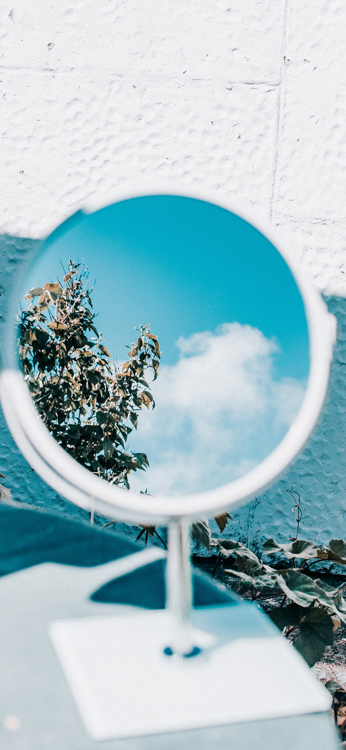 [2436×1125]镜子 天空 枝叶 蓝色 苹果手机壁纸图片