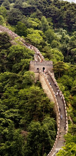 [2436x1125]长城 景色 树木 野外 阶梯 苹果手机壁纸图片