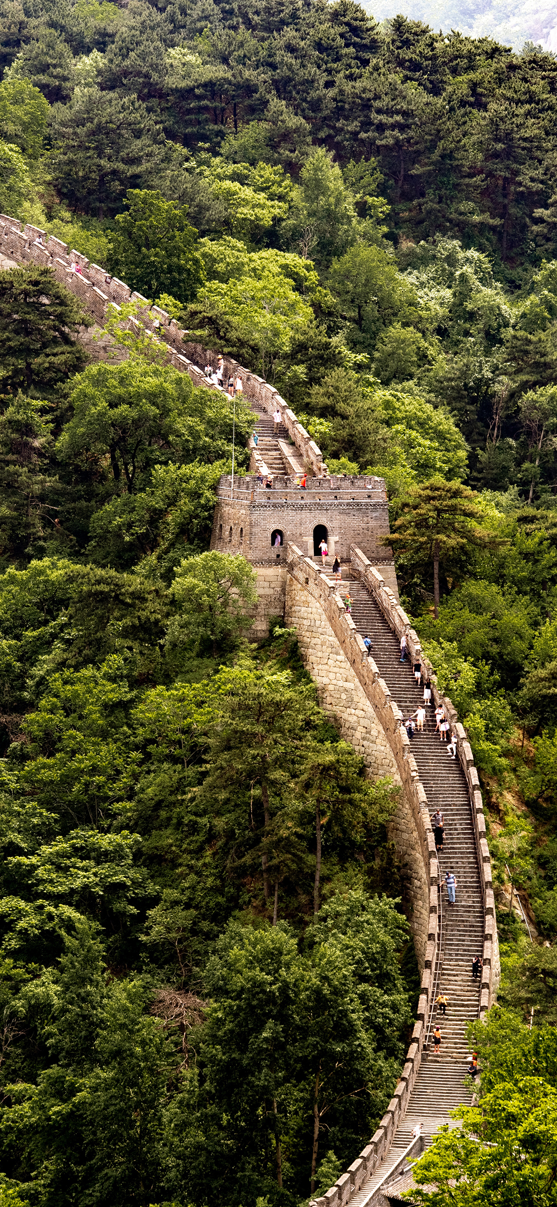[2436×1125]长城 景色 树木 野外 阶梯 苹果手机壁纸图片