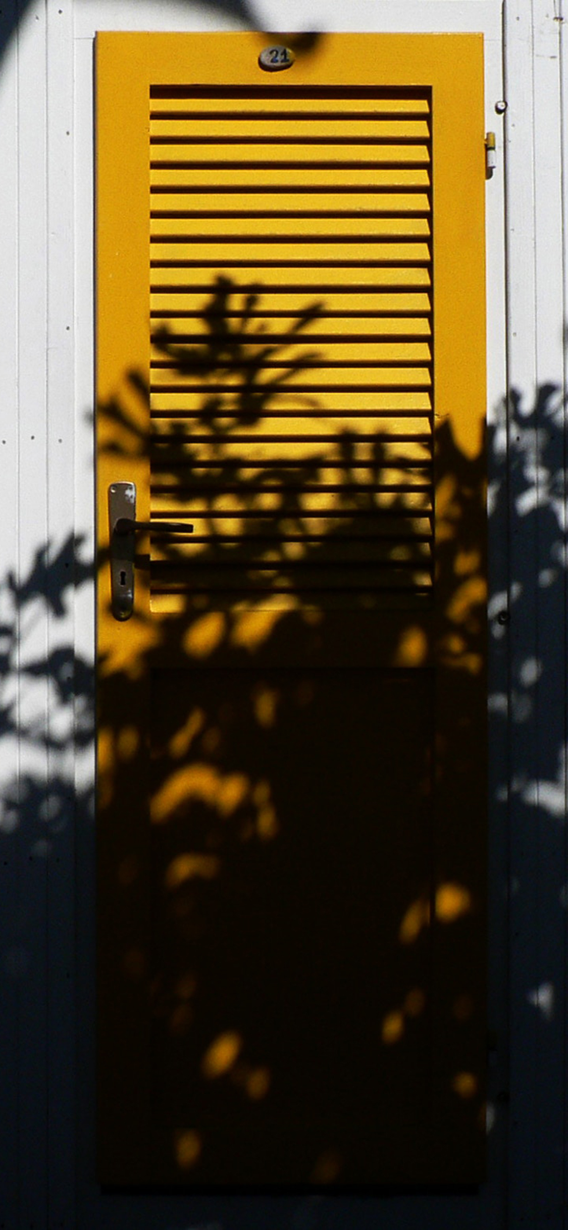 [2436×1125]门 色彩 百叶 树木投影 苹果手机壁纸图片