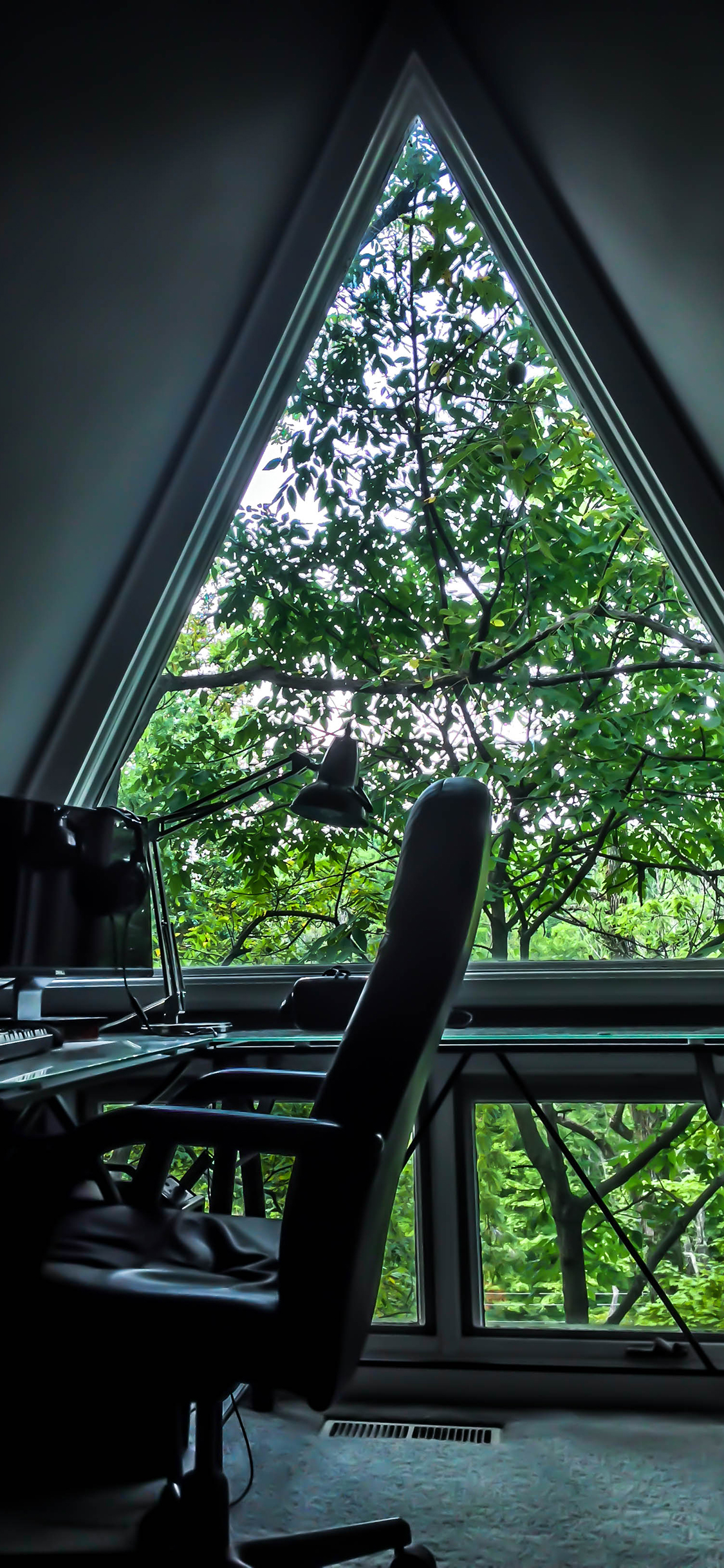 [2436×1125]阁楼 办公 卧室 桌椅 窗 树木 苹果手机壁纸图片