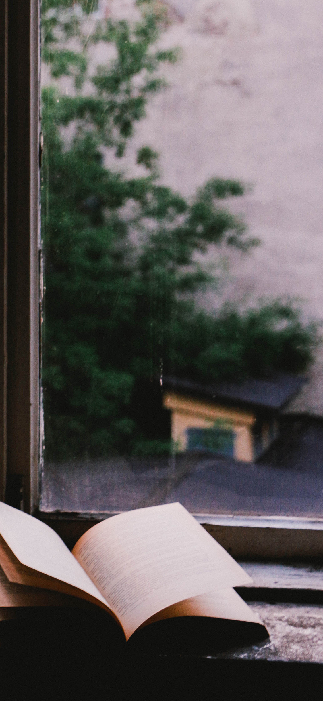 [2436×1125]阅读 窗边 树木 书本 室内 苹果手机壁纸图片