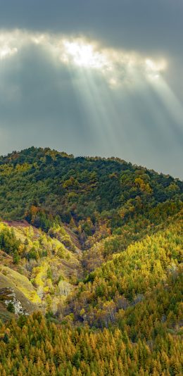 [2436x1125]阳光 照射 云层 森林 高山 苹果手机壁纸图片