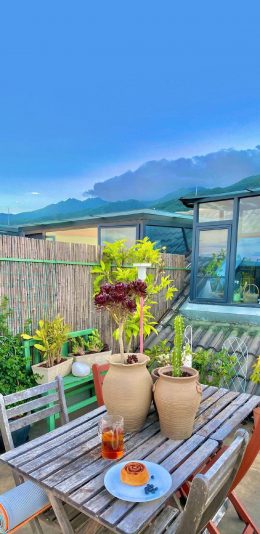 [2436x1125]阳台 点心 盆栽 风光 苹果手机壁纸图片