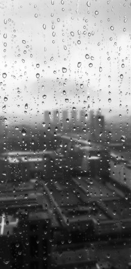 [2436x1125]雨 水珠 玻璃 窗外 城市 黑白 苹果手机壁纸图片