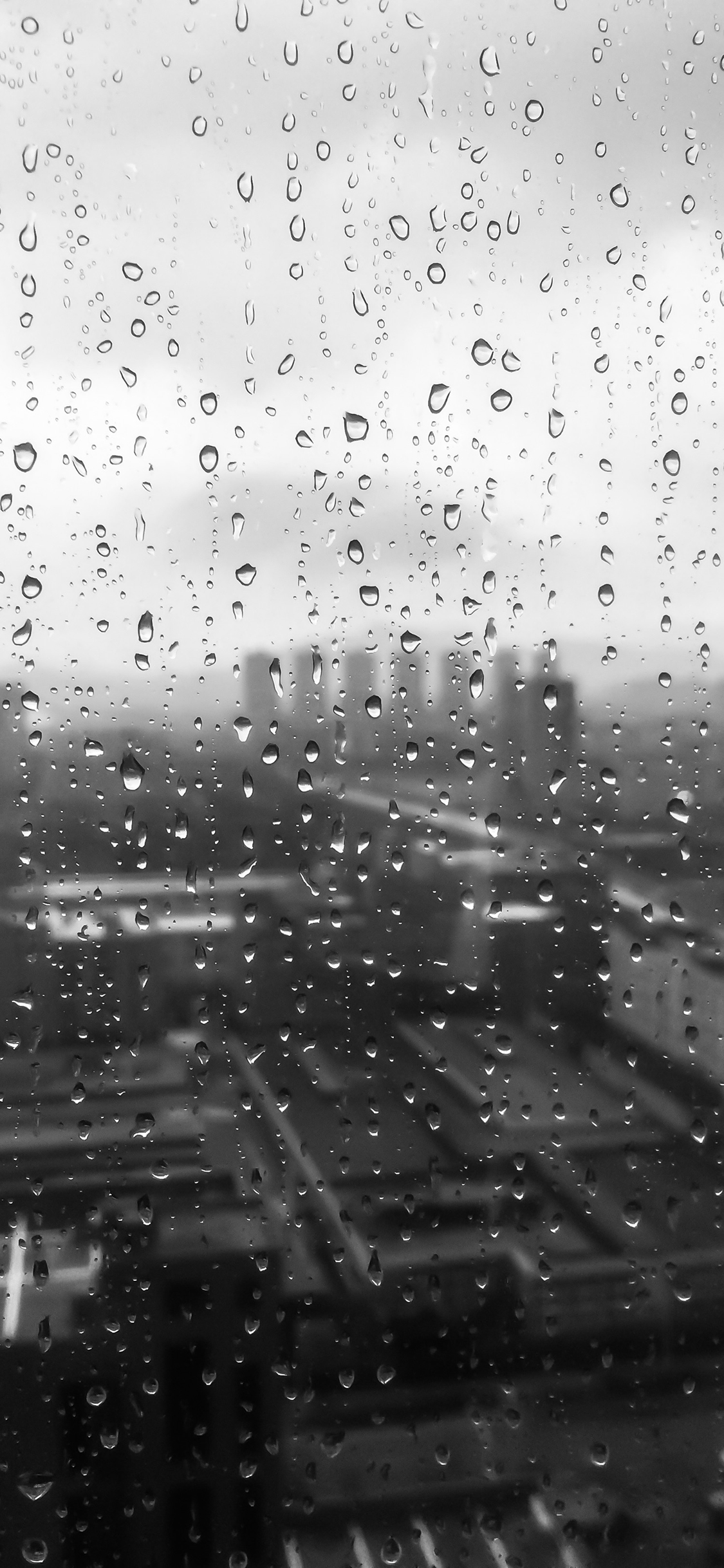 [2436×1125]雨 水珠 玻璃 窗外 城市 黑白 苹果手机壁纸图片