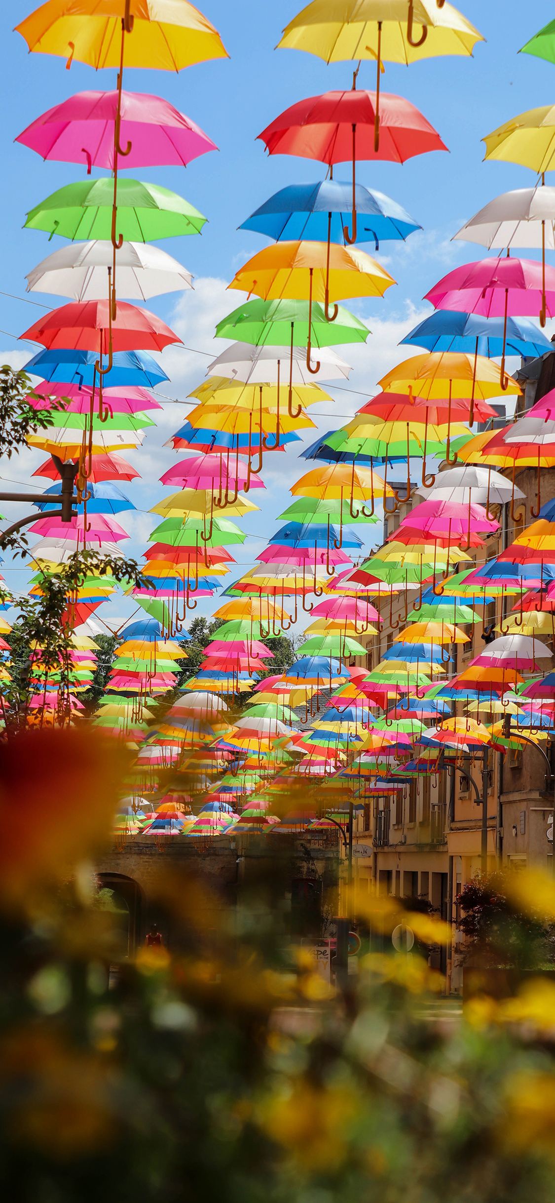 [2436×1125]雨伞 色彩 悬空 观赏 苹果手机壁纸图片