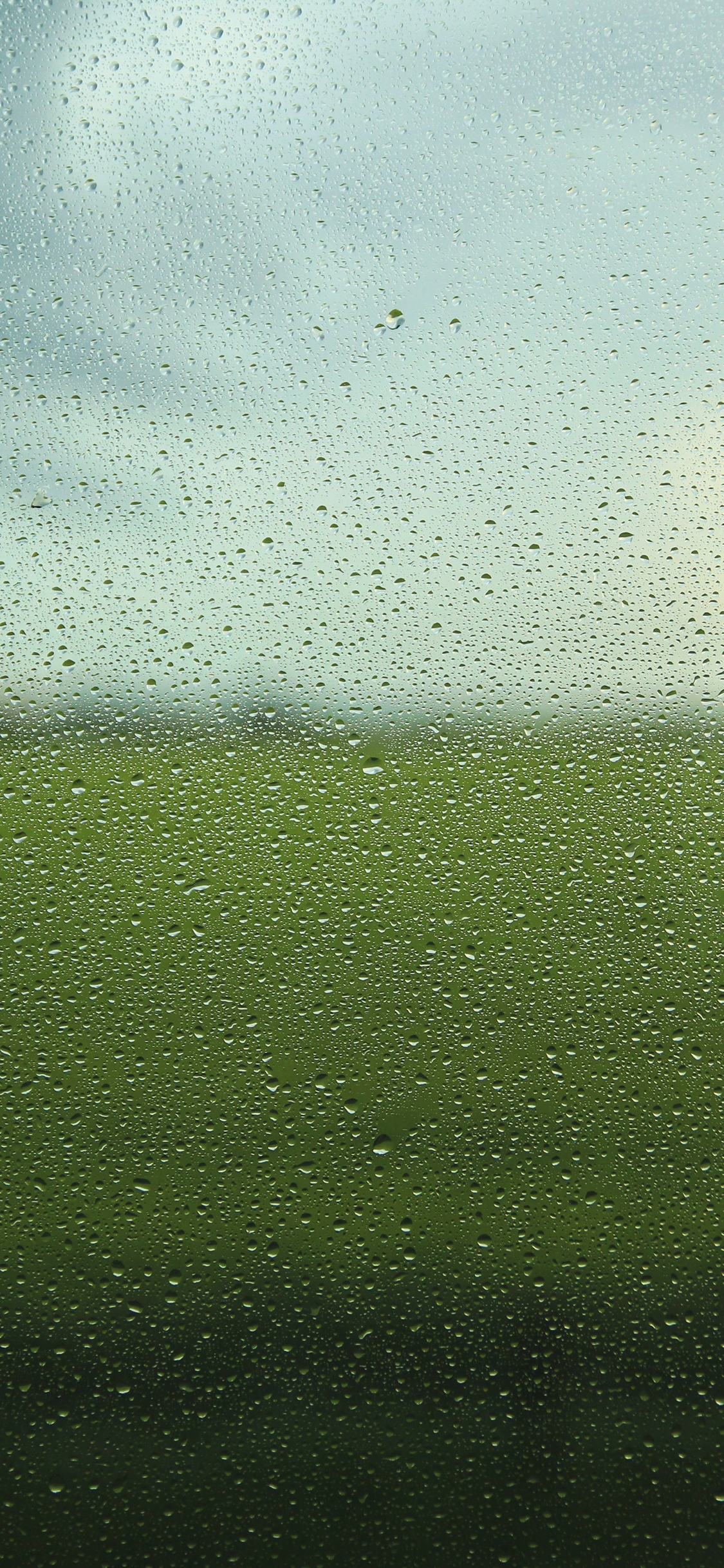 [2436×1125]雨水 玻璃 水珠 绿色 苹果手机壁纸图片