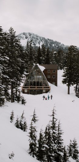 [2436x1125]雪地 木屋 树木 冬季 寒冷 苹果手机壁纸图片