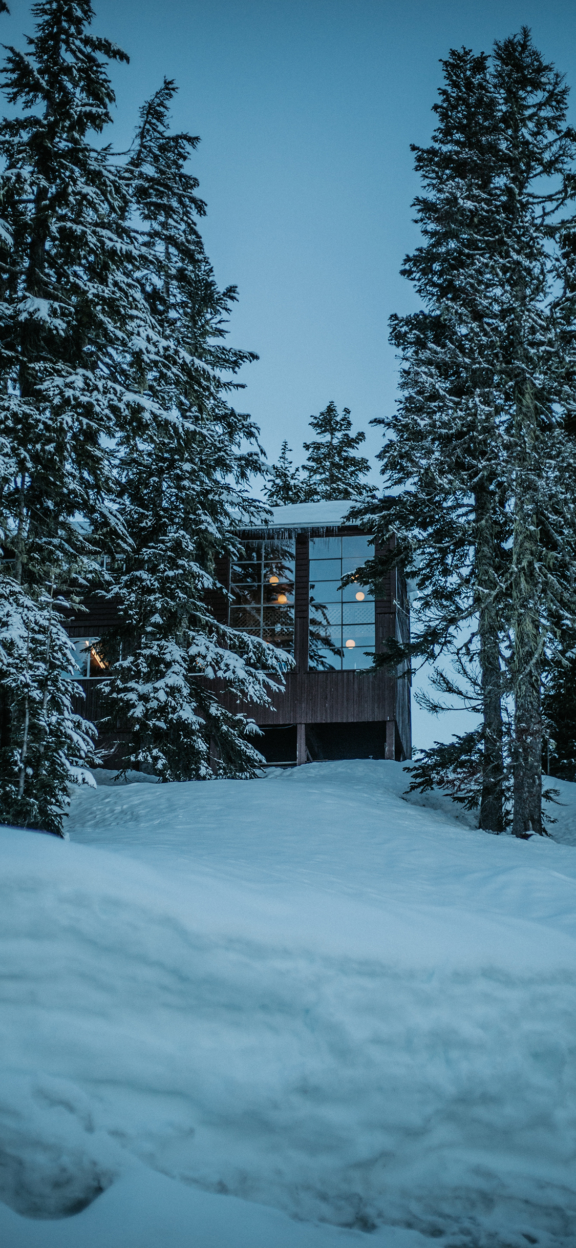 [2436×1125]雪地 树木 木屋 覆盖 苹果手机壁纸图片
