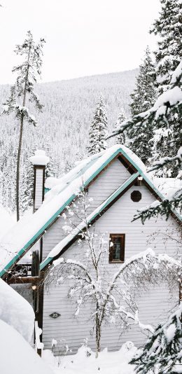 [2436x1125]雪地 树木 白雪覆盖 木屋 苹果手机壁纸图片