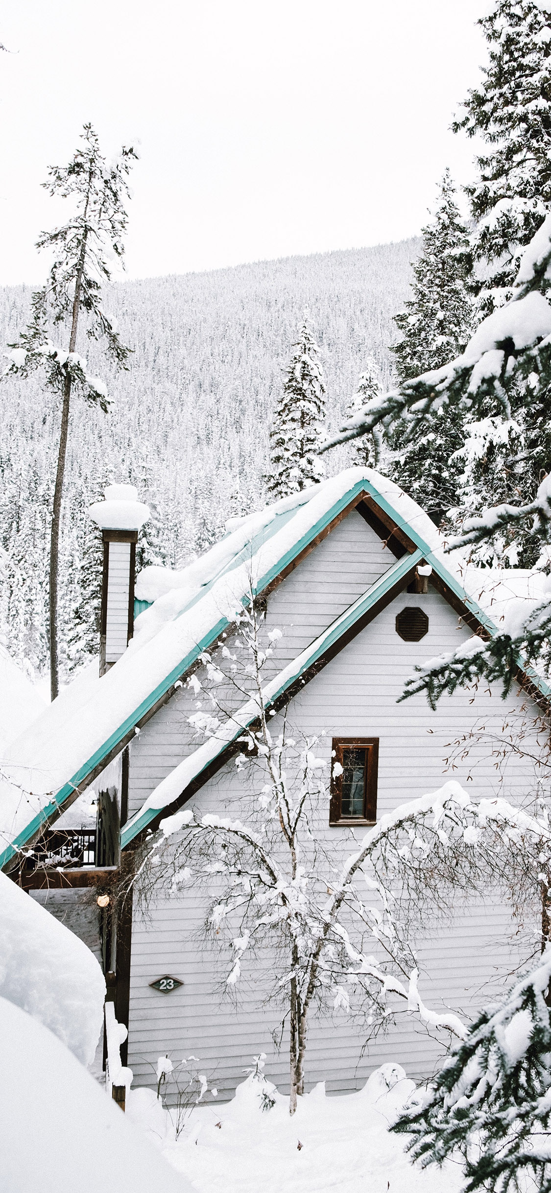[2436×1125]雪地 树木 白雪覆盖 木屋 苹果手机壁纸图片