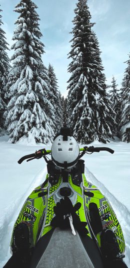 [2436x1125]雪地 树木 白雪覆盖 车 雪景 苹果手机壁纸图片