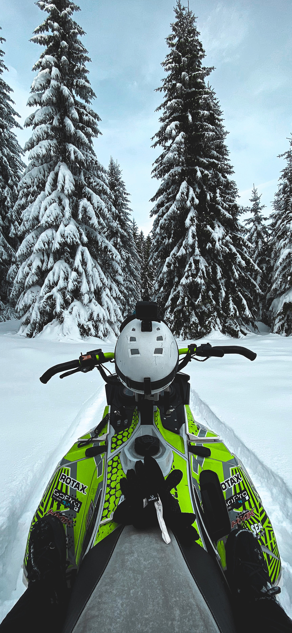 [2436×1125]雪地 树木 白雪覆盖 车 雪景 苹果手机壁纸图片