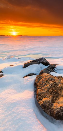 [2436x1125]雪地 白雪覆盖 冬季 日出 美景 苹果手机壁纸图片