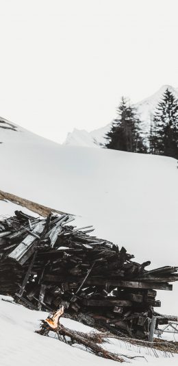 [2436x1125]雪地 白雪覆盖 树木 柴火 苹果手机壁纸图片