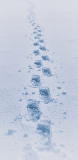 [2436x1125]雪地 白雪覆盖 脚印 连串 苹果手机壁纸图片