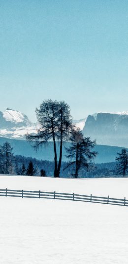 [2436x1125]雪地 美景 树木 山峰 苹果手机壁纸图片