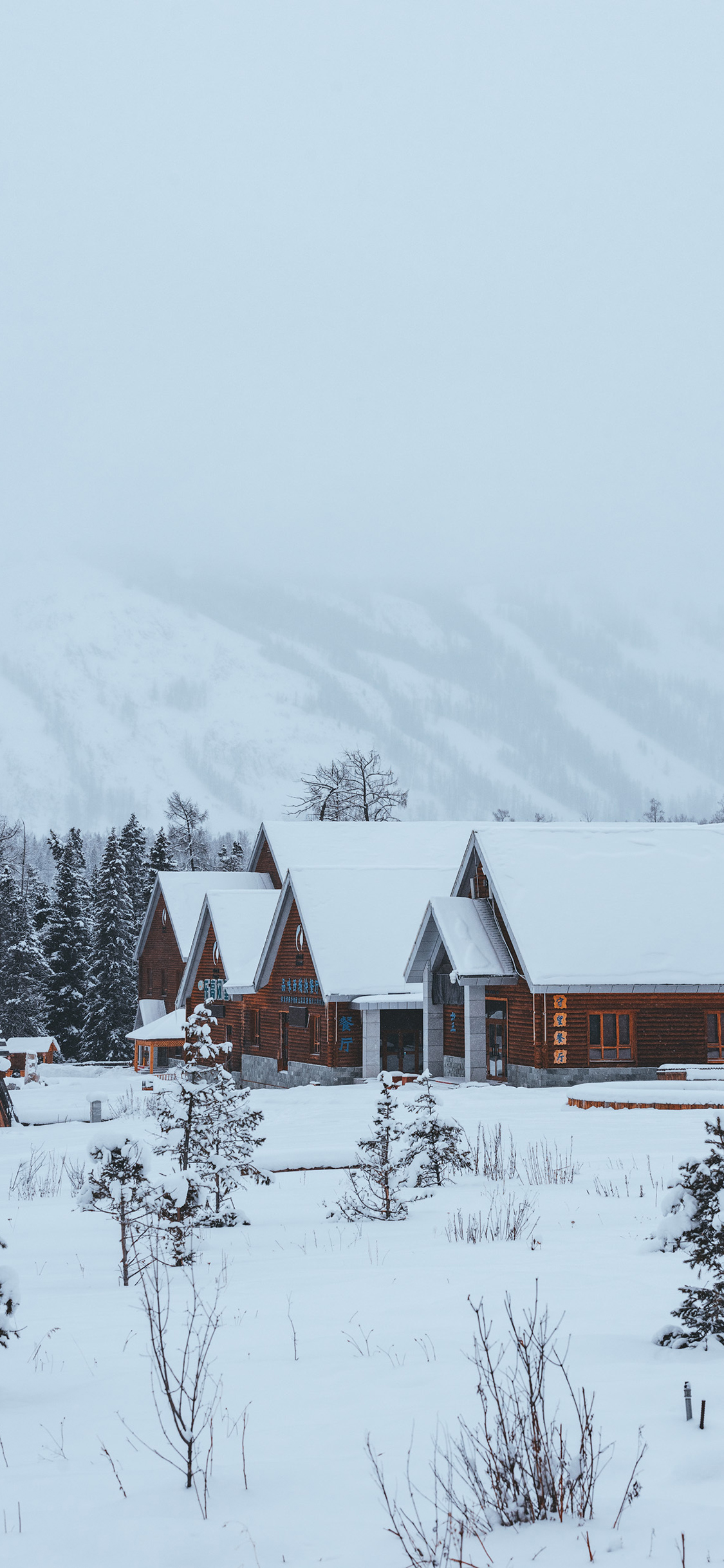 [2436×1125]雪地 雪景 木屋 冬天 白色 苹果手机壁纸图片