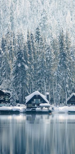 [2436x1125]雪屋 湖岸 雪松 雪季 苹果手机壁纸图片