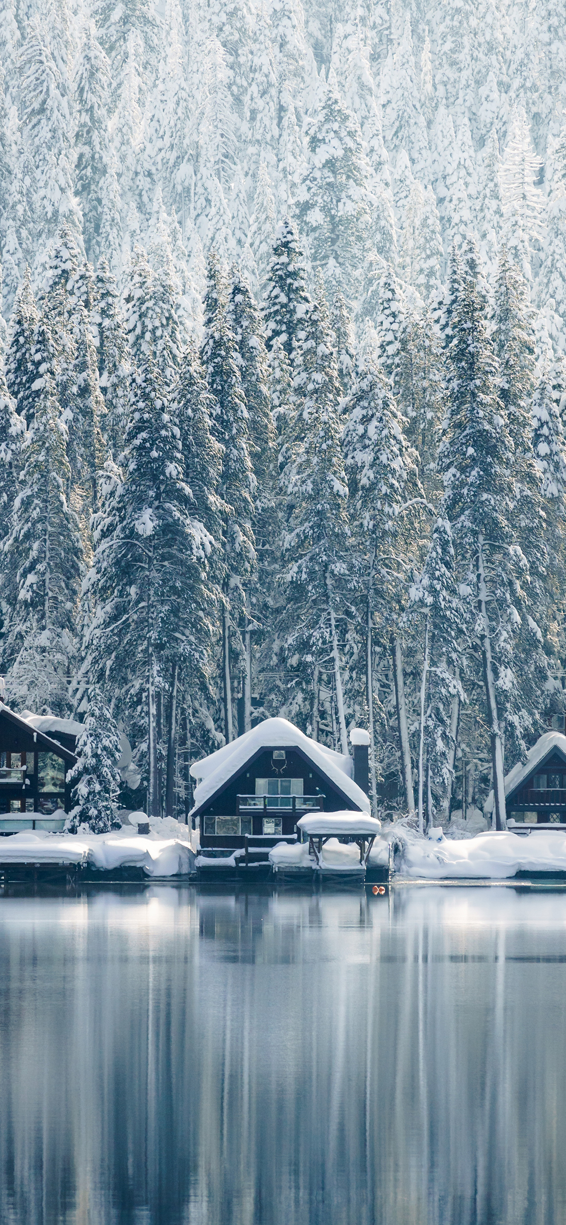 [2436×1125]雪屋 湖岸 雪松 雪季 苹果手机壁纸图片