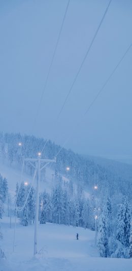 [2436x1125]雪山 冬季 寒冷 电线杆 树木 苹果手机壁纸图片