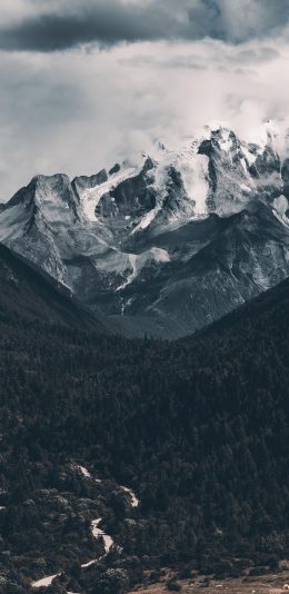 [2436x1125]雪山 山峰 大自然 森林 苹果手机壁纸图片