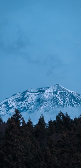 [2436x1125]雪山 山峰 蓝色 树木 苹果手机壁纸图片