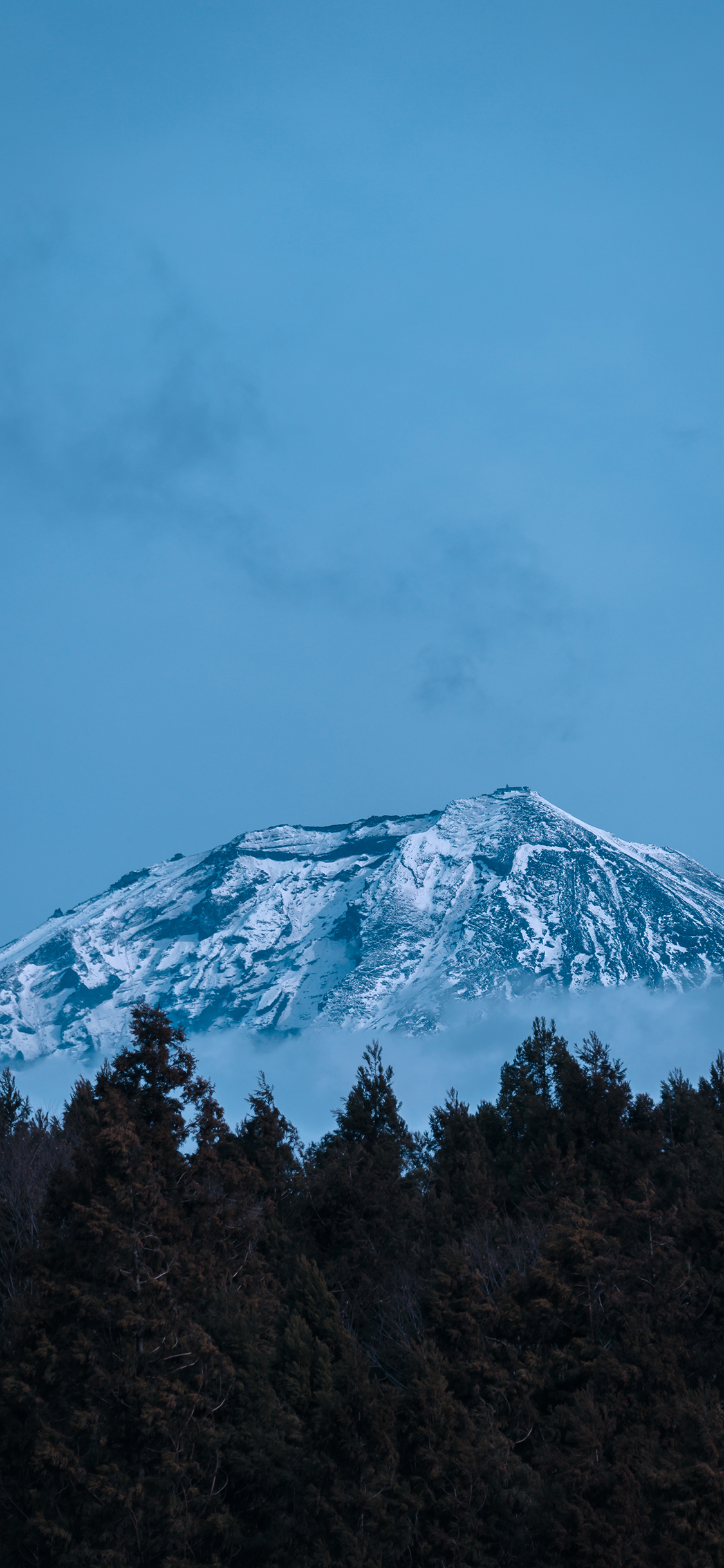 [2436×1125]雪山 山峰 蓝色 树木 苹果手机壁纸图片