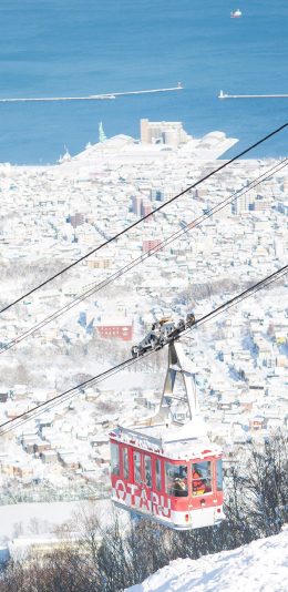 [2436x1125]雪山 白雪覆盖 缆车 绳索 苹果手机壁纸图片