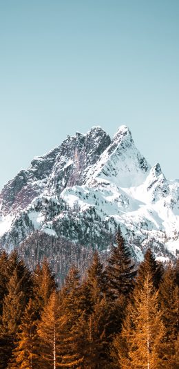 [2436x1125]雪山 雪顶 树林 天空 苹果手机壁纸图片
