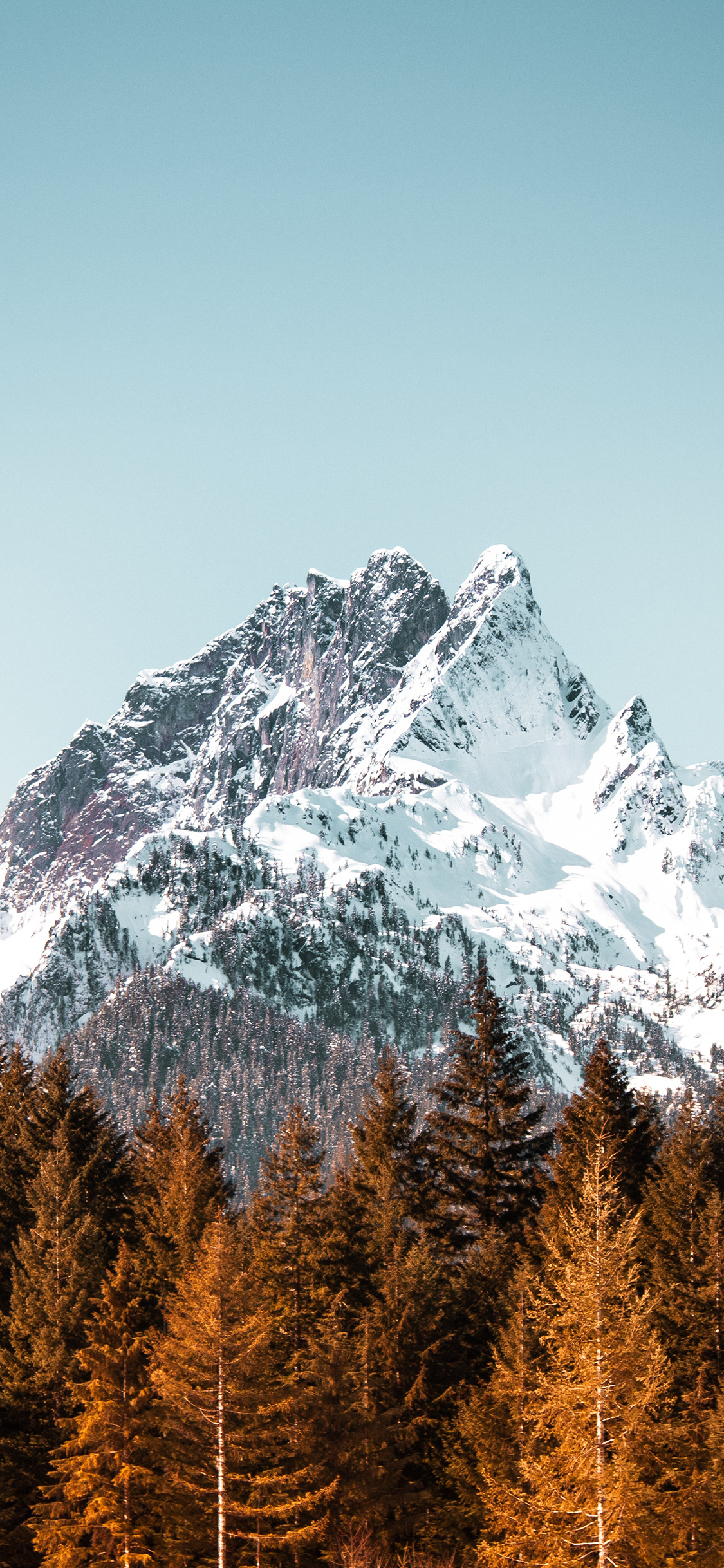 [2436×1125]雪山 雪顶 树林 天空 苹果手机壁纸图片