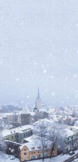 [2436x1125]雪景 冬季 建筑 城市 房屋 苹果手机壁纸图片