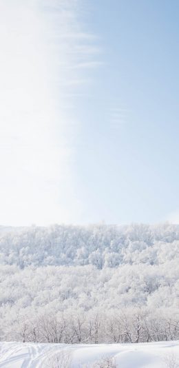 [2436x1125]雪景 白色 唯美 冬季 动态 雪地 苹果手机壁纸图片