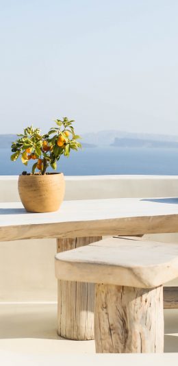 [2436x1125]风光美景 白色建筑 盆栽 苹果手机壁纸图片