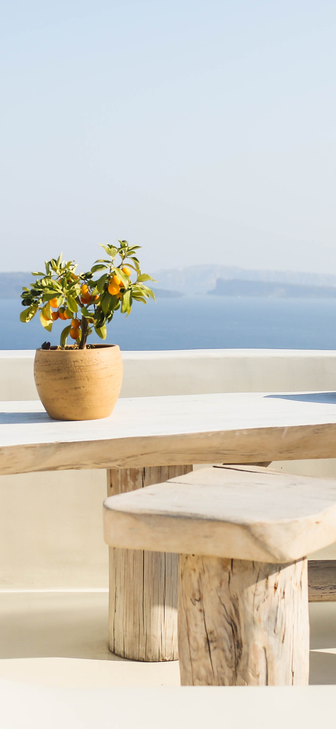 [2436×1125]风光美景 白色建筑 盆栽 苹果手机壁纸图片