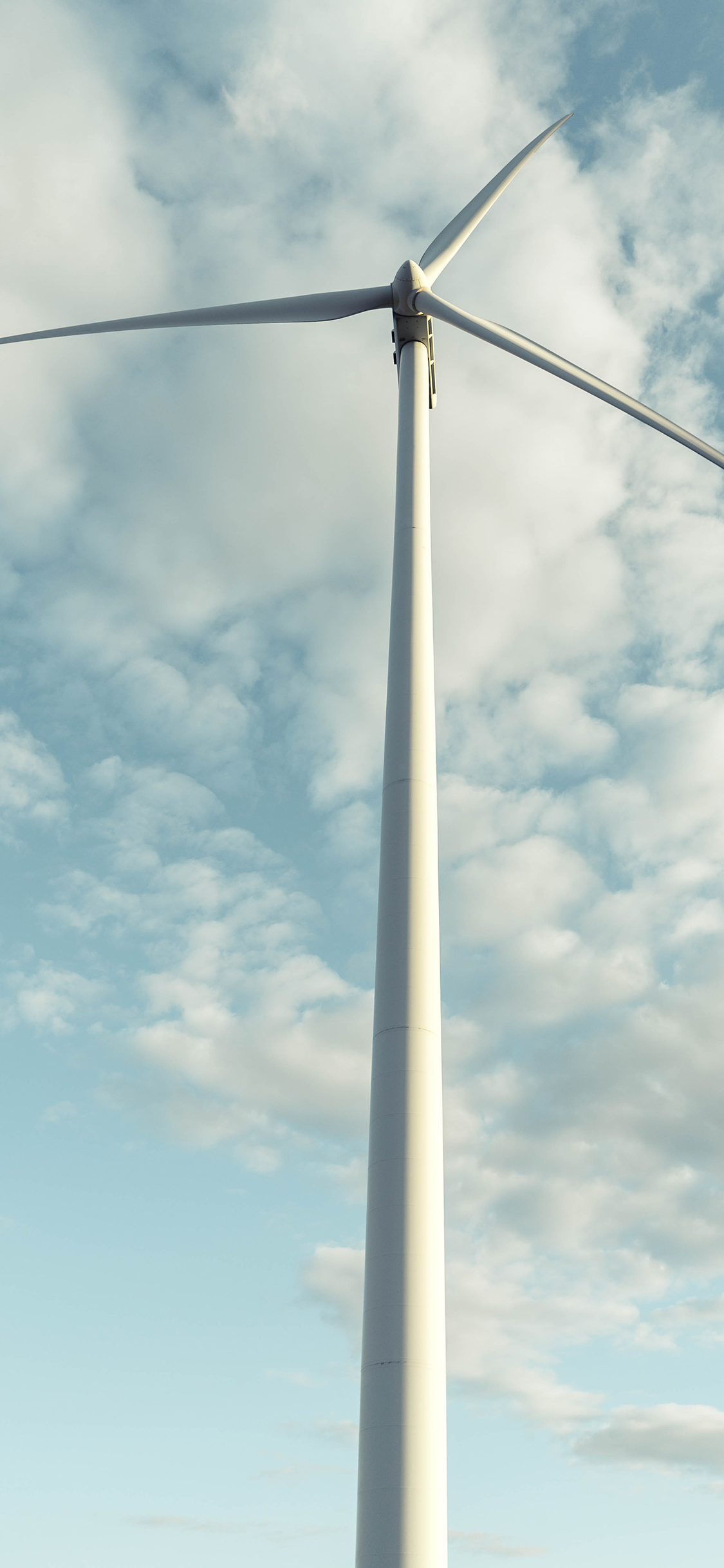 [2436×1125]风力发电机 风车 广阔 苹果手机壁纸图片