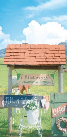 [2436x1125]风景 摄影 蓝天 鲜花 （取自微博：尼脑子瓦特啦） 苹果手机壁纸图片