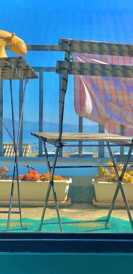 [2436x1125]风景 海边 多肉植物 蓝天 苹果手机壁纸图片