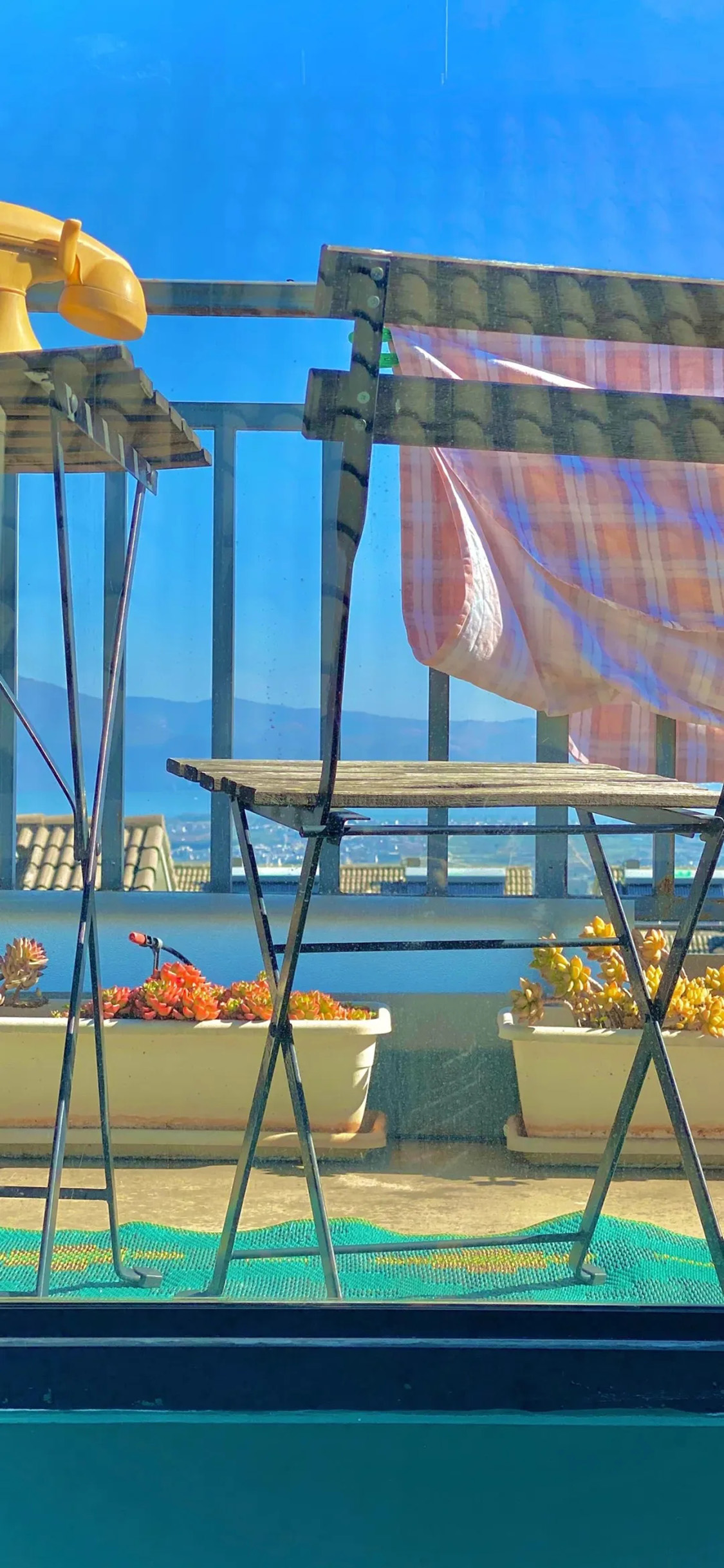 [2436×1125]风景 海边 多肉植物 蓝天 苹果手机壁纸图片