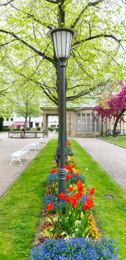 [2436x1125]风景 路灯 公园 树木 花草 苹果手机壁纸图片