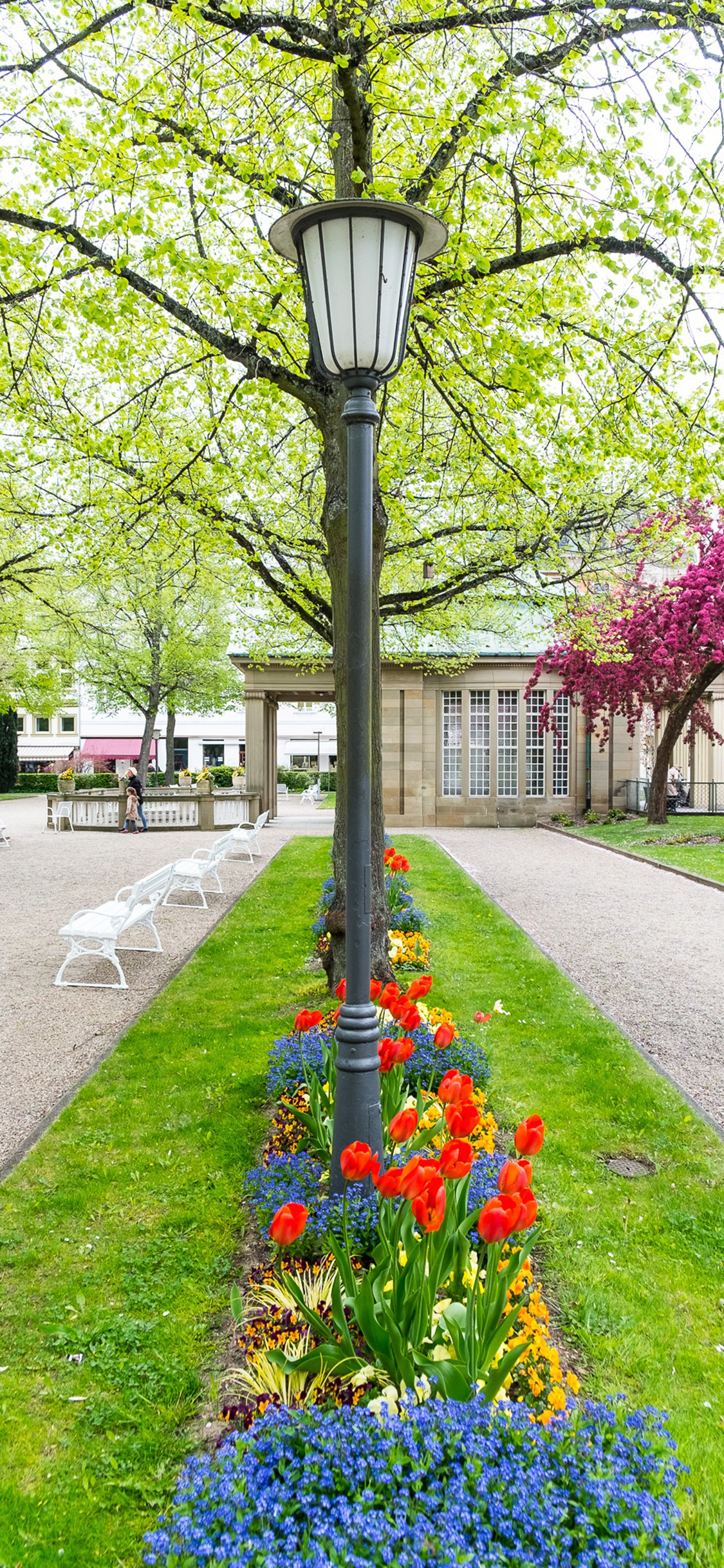 [2436×1125]风景 路灯 公园 树木 花草 苹果手机壁纸图片