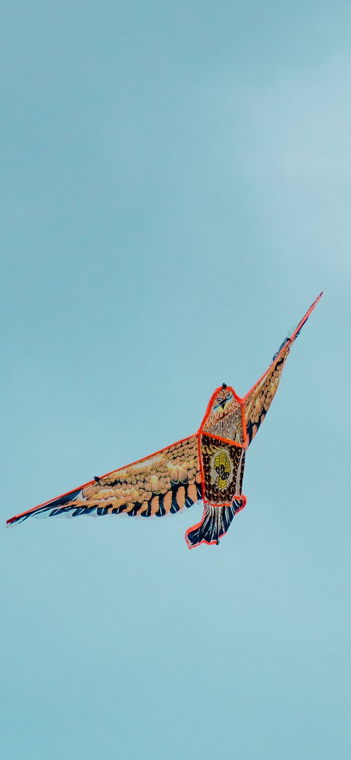 [2436×1125]风筝 天空 蔚蓝 游乐 苹果手机壁纸图片
