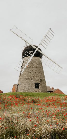 [2436x1125]风车 外景 花田 建筑 苹果手机壁纸图片